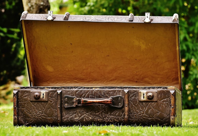 Suitcase Pet Bed